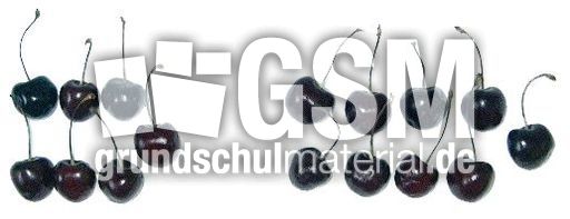 Kirschen7+9.jpg
